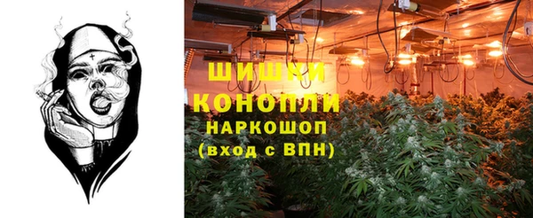 дживик Мурманск