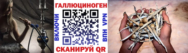 Галлюциногенные грибы Cubensis  Белёв 